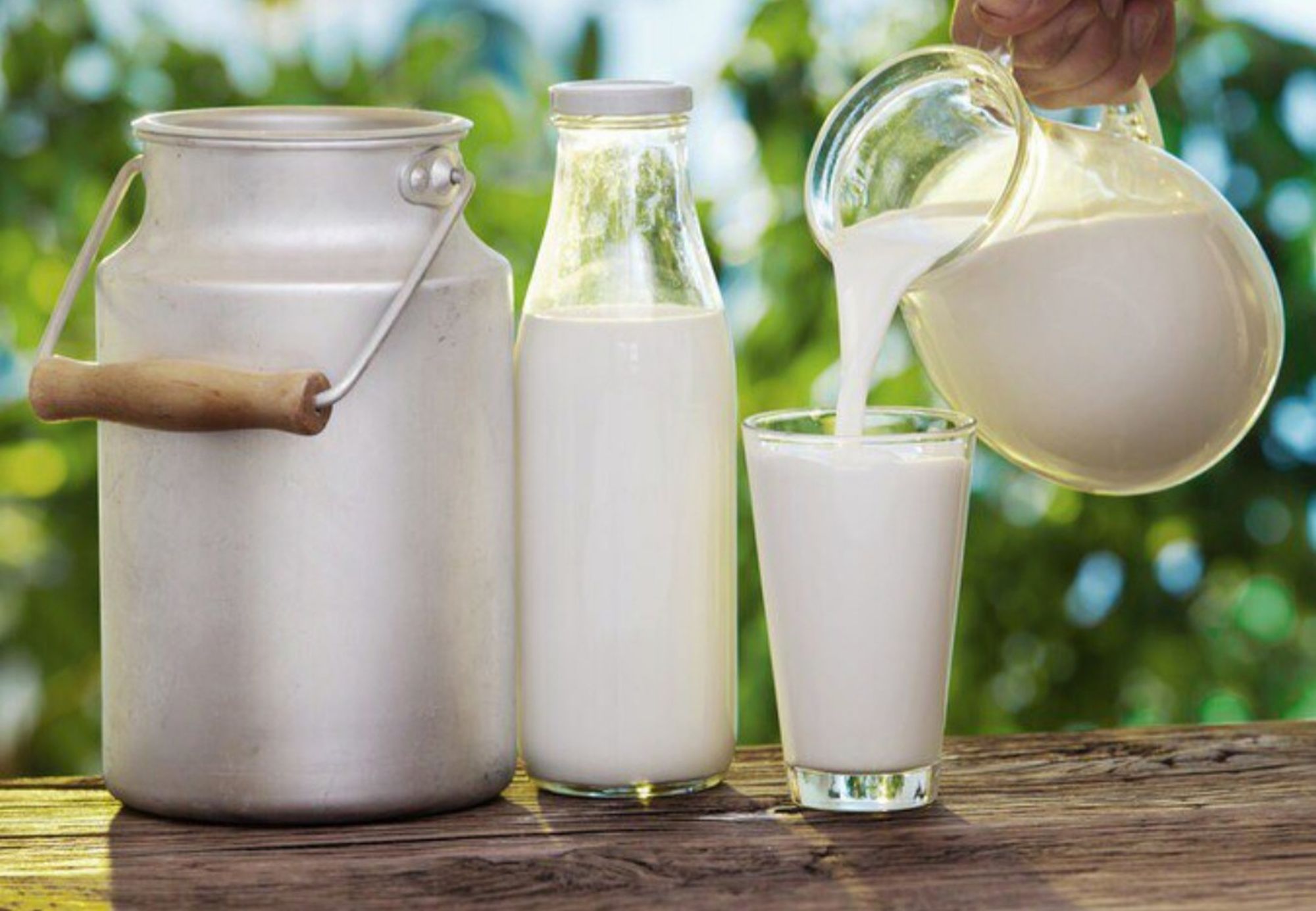 Почему молоко — сомнительный продукт для взрослого человека